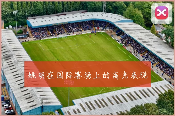 姚明在国际赛场上的高光表现
